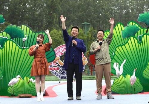 开封李先生最新爆料视频,最新爆料视频背后的惊人真相