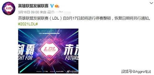 最新转会期爆料,巨星转会揭秘，豪门争锋新格局